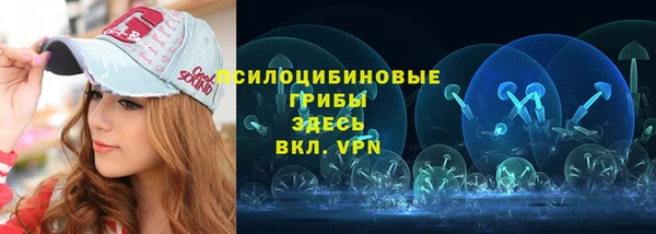 индика Абдулино