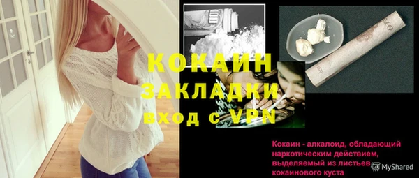 молекула духа Алексин