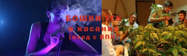 индика Абдулино