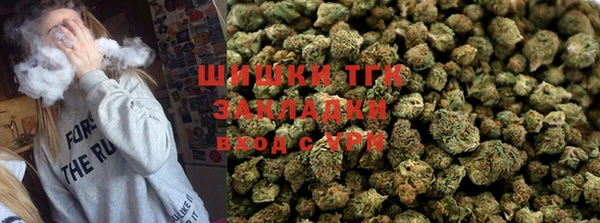 тгк Абаза