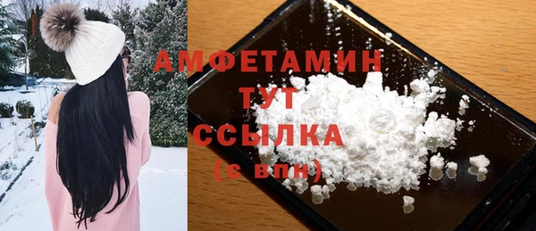 молекула духа Алексин