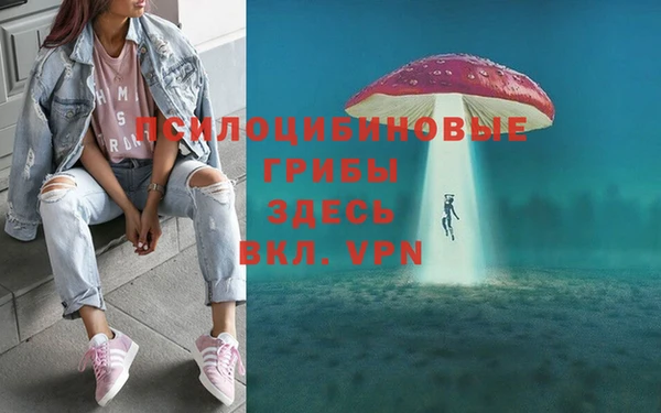 индика Абдулино