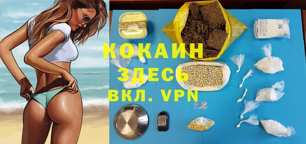 тгк Абаза