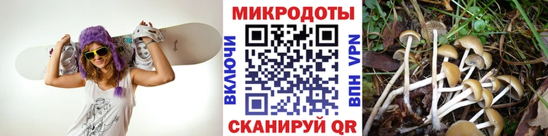 мориарти формула Кирсанов Псилоцибиновые грибы ЛСД