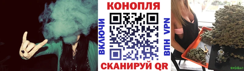 Шишки марихуана OG Kush  Кирсанов 